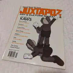 ★幻アート本★ジャクスタポーズ JUXTAPOZ　天明屋尚　ロバートウィリアムス ☆幻アート本☆ジャクスタポーズ JUXTAPOZ 天明屋尚 ロバート