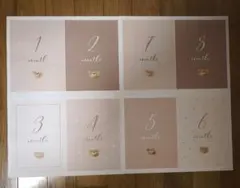 Item thumbnail for item 0303e4c4-19bd-4811-9d83-c2e317a0ac06