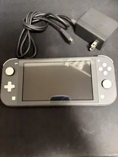 Nintendo Switch Lite グレー 本体 ACアダプター付き