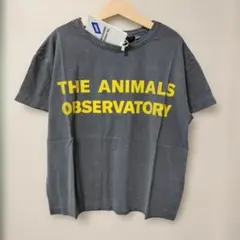 The Animals Observatory／TAO Tシャツのサムネイル