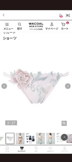ワコール、サルート22グループレギュラーレースショーツLサイズ。