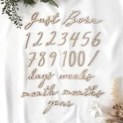 【セット割】木製 レターバナー 月齢フォト 21点セット / Eタイプ