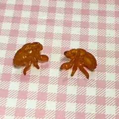 2026年最新】セミの抜け殻の人気アイテム - メルカリ