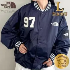 韓国限定 THE NORTH FACE スポーティボンバージャケット L 春