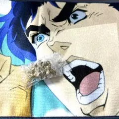 ジョジョ　一番くじ　タオル　ピンズコレクション　セット