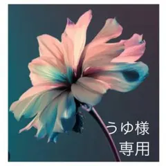 うゆ様　専用