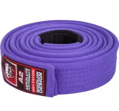 Item thumbnail for item 8300de9a-36a0-40d6-a8c2-3b895e499bca