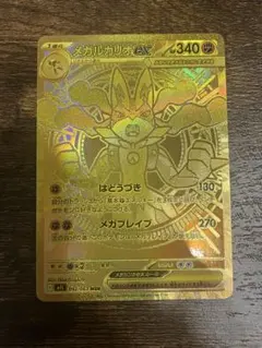 メガカイリュー メガルカリオmurセット