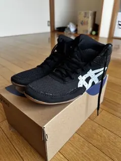 Item thumbnail for item ebf15c6f-7ebf-4eb0-8ca2-1f3571b71226