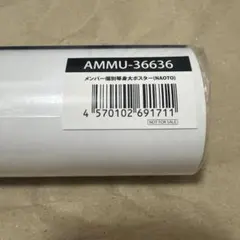 【新品未開封】等身大ポスター NAOTO