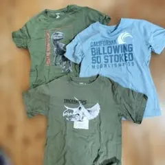 UT 恐竜・カリフォルニアデザイン Tシャツ 3枚セット150・160サイズ