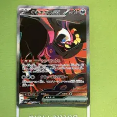 キチキギスex sar