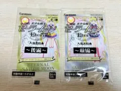 美少女戦士セーラームーン エターナル 入場特典