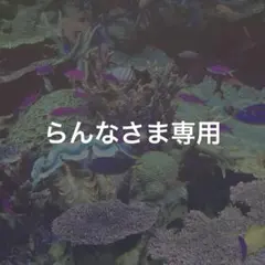 らんな( ^ω^ )様 リクエスト 3点 まとめ商品