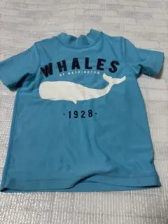 値下げ　クジラプリント ラッシュガード 青