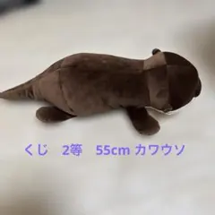 カワウソ　ぬいぐるみ　水族館　2等のサムネイル