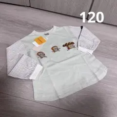 新品 プティマイン パンどろぼう　袖布帛Tシャツ　ロンT 120cm