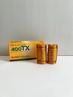 Item thumbnail for item 556412f1-205b-4509-92c1-710ef2d3cf68