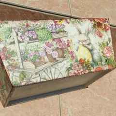 587 スタンペリアOrchids and Catsおすそ分け収納ボックス - メルカリ