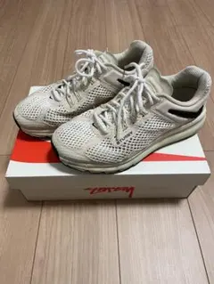 Item thumbnail for item 8f783566-88e5-4adb-9f59-523a6d33e47e