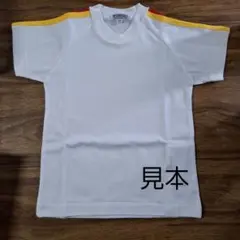 Item thumbnail for item 413c8186-d698-4276-b905-0751b632e5d3