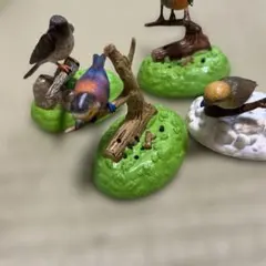 【レア】小鳥日和 野鳥図鑑 7個セット レア】小鳥日和 野鳥図鑑 7個セット - メルカリ