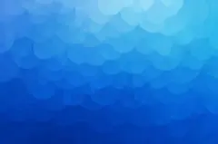 専用ページです。