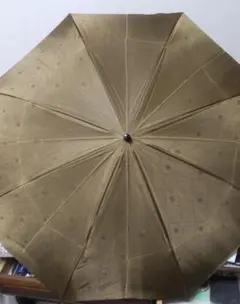 Item thumbnail for item 23be1417-c077-4966-bf9b-536d52b70554