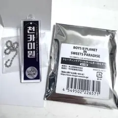 ボイプラ2 スイパラ　カイウェン　トレーディングアクリルネームキーホルダー