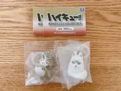 ハイキュー　めじるしアクセサリー