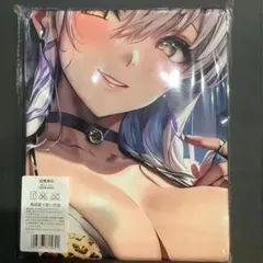 スターオーシャン3 SO3クレア・ラーズバード　抱き枕カバー　大判バスタオル