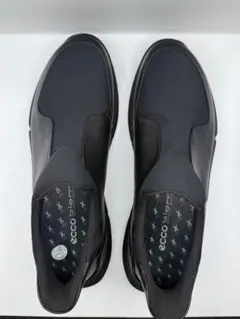 ecco エコー BIOM 2.2 バイオム BLACK 43/26.5