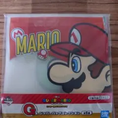 一番くじ スーパーマリオ いつも一緒　G賞 ジッパーバッグコレクション１点