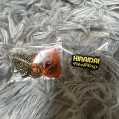 平井大 HIRAIDAI グッズ 2点セット