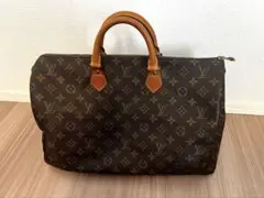 Item thumbnail for item 0ce20c46-1e25-4f18-87ee-a25d09a54e3e