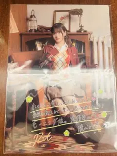モーニング娘。'25 横山玲奈 凱旋公演クリアファイル