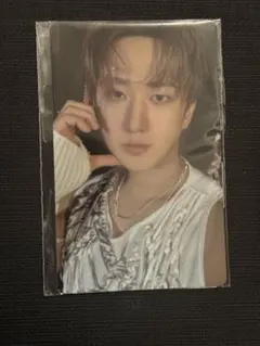 Stray Kids DOIT FANS ラキドロ2.0 チャンビン