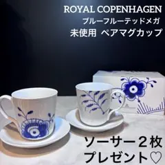 ブルーフルーテッドメガ 2枚セット 廃盤品 2026年最新】ブルーフルーテッドメガの人気アイテム - メルカリ