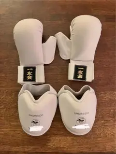 一友会 SHUREIDO 防具セット