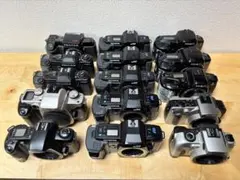 Item thumbnail for item d4f1b5b5-9ae5-4325-9354-f021ca445a48