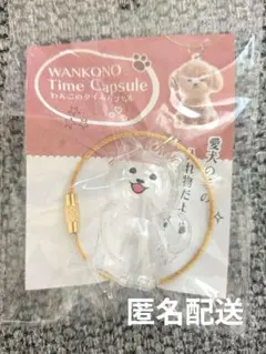 わんこのタイムカプセル　ラテ　ガチャガチャ　新品未開封