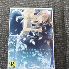 ヴァイスシュヴァルツ 【青春ブタ野郎はゆめみる少女の夢を見ない