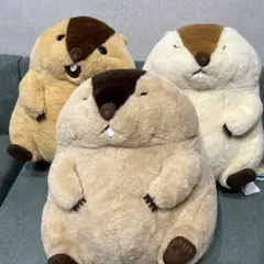 ⑥ マーモットのもっとっと おめかし ウルトラBIG ぬいぐるみ 3種