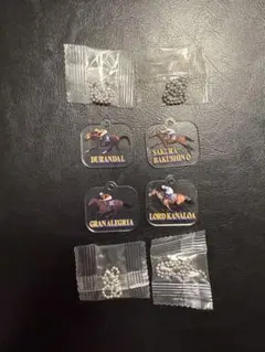 アクリルチャーム全4種コンプWelcomeチャンス！オールカマー特別版中山競馬場のサムネイル