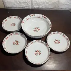 橘吉　たち吉　赤絵唐草6点セット　中鉢　深鉢　取り皿揃　 花容　和食器セットのサムネイル