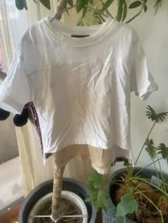 いいね不要！Go To Hollywood Tシャツ 120cm