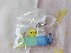 チャコティー様 リクエスト 2点 まとめ商品