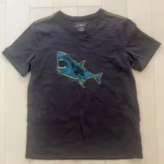 L.L.Bean キッズ Tシャツ サメ柄 グレー L(14-16)のサムネイル
