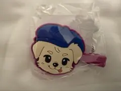 三代目JSBスタジアム 岩田剛典 へアクリップ