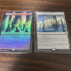 魂石の聖域 2枚セット イラスト違い foil